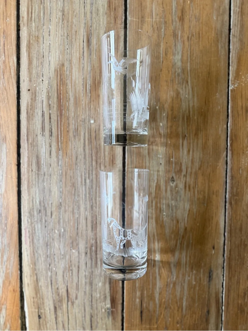 Etched Pointer & Duck Glasses